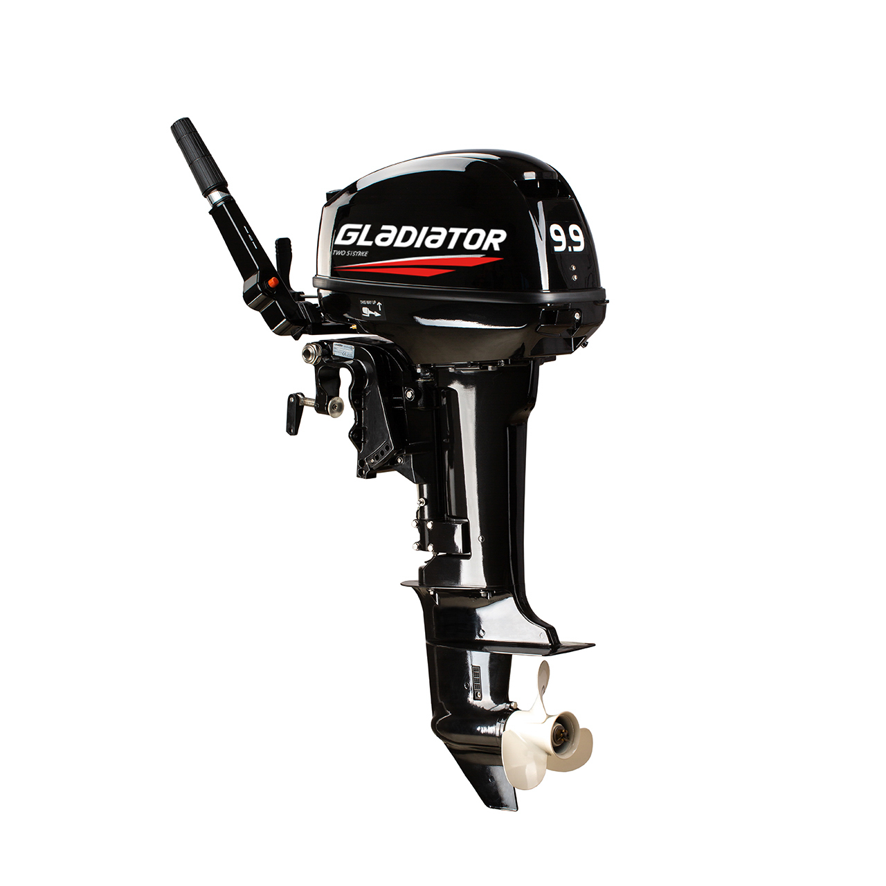 ЛОДОЧНЫЙ МОТОР GLADIATOR G9.9FHS в Курске