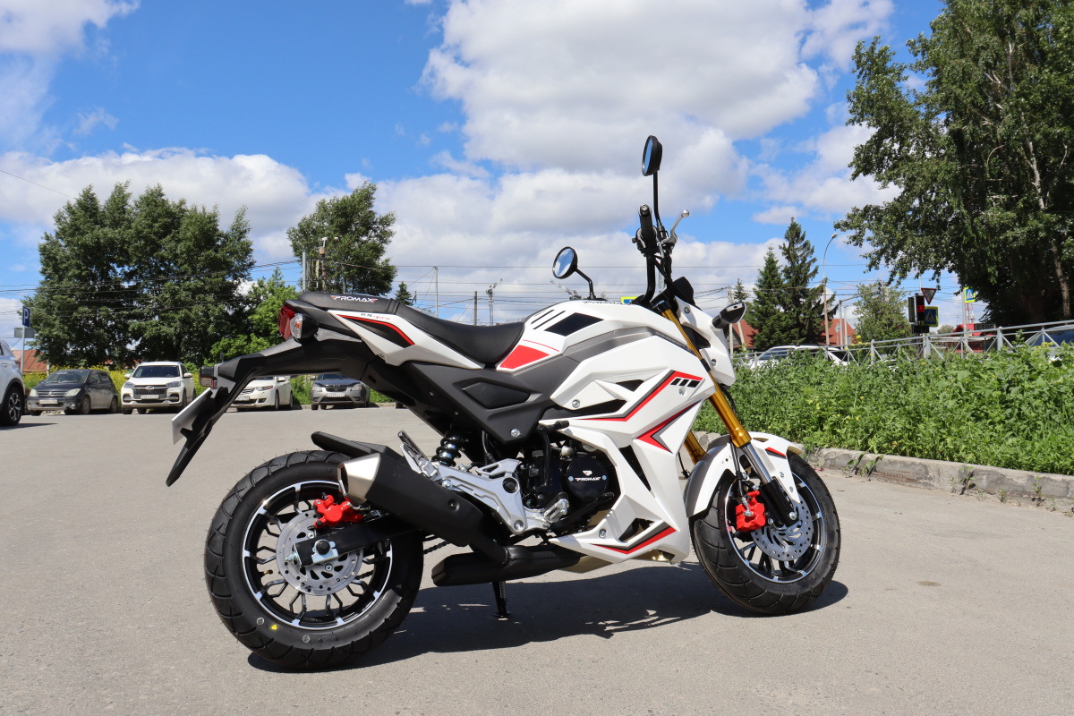 Мотоцикл PROMAX STRYKER 200(49) 2.0 в Курске