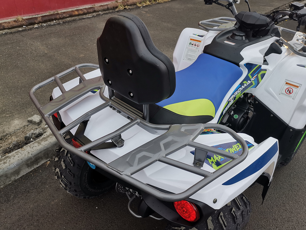 Квадроцикл PROMAX RENEGADE 280 LUX (2025) в Курске