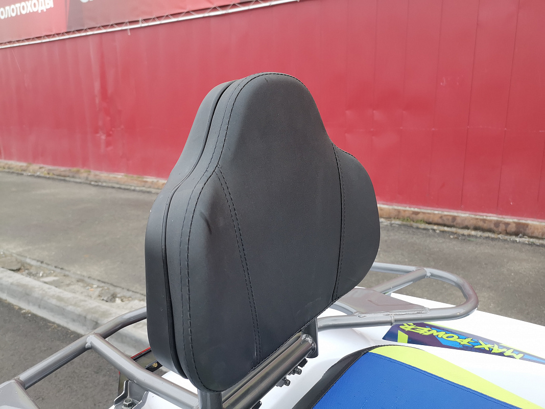 Квадроцикл PROMAX RENEGADE 280 LUX (2025) в Курске