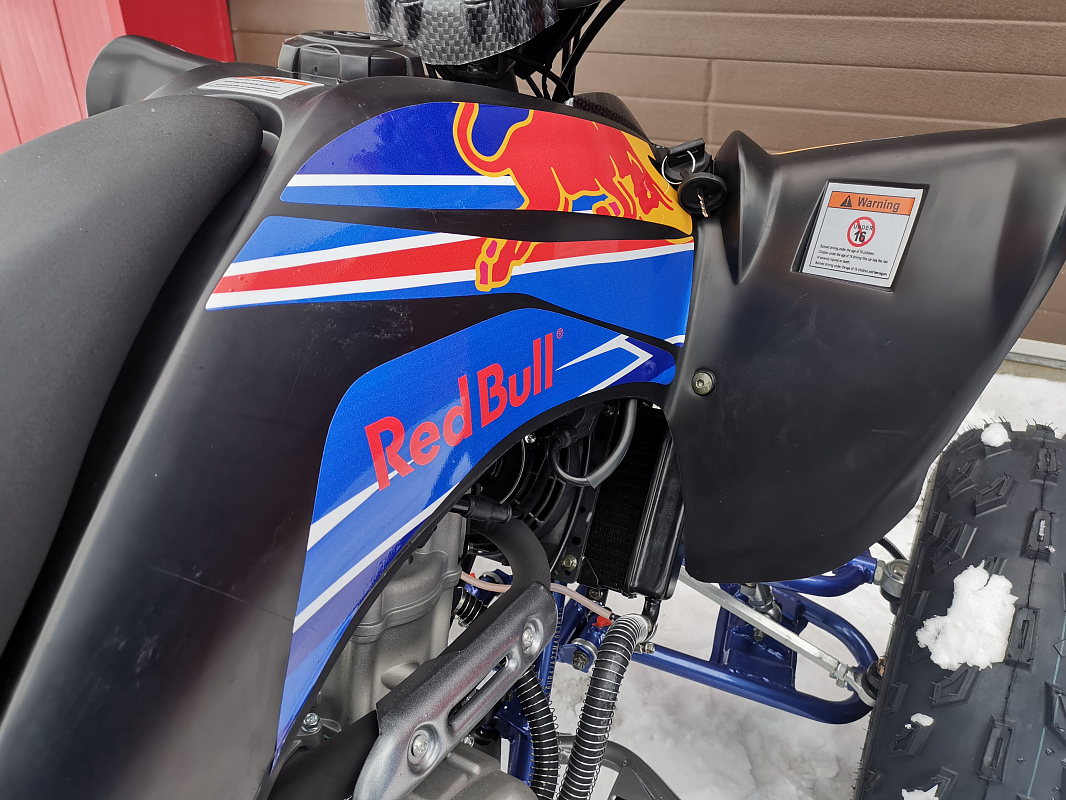 Квадроцикл PROMAX RAPTOR 300 NEW RedBull в Курске