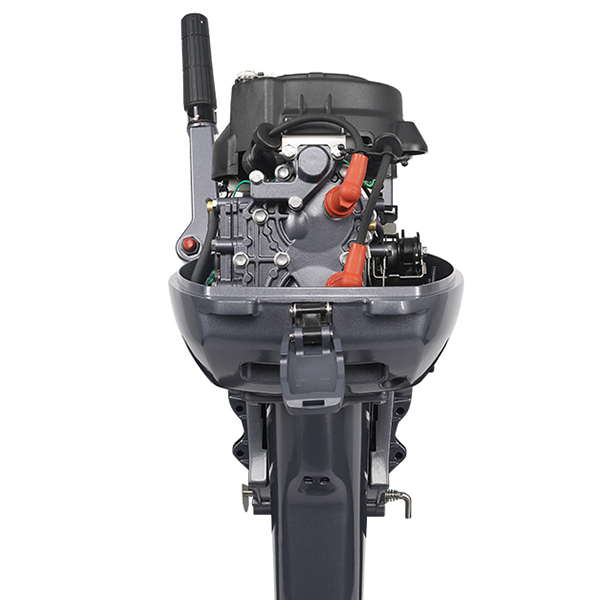 ЛОДОЧНЫЙ МОТОР ALLFA CG Т9,9 в Курске