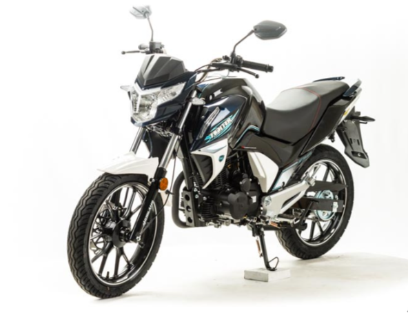 Мотоцикл MOTOLAND (МОТОЛЕНД) FIGHTER 250 в Курске