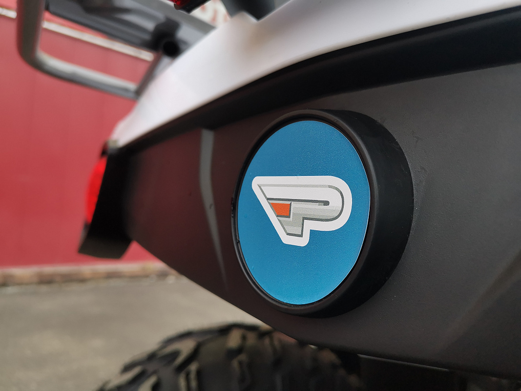 Квадроцикл PROMAX RENEGADE 280 LUX (2025) в Курске