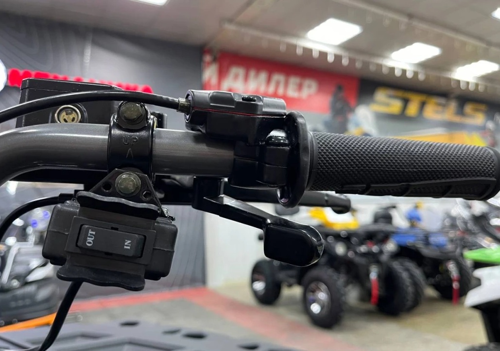 Квадроцикл PROMAX RENEGADE 300 LONG WINCH PRO (2025) в Курске