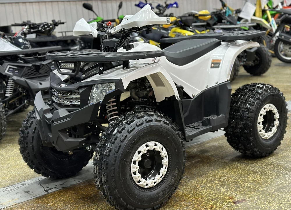 Квадроцикл PROMAX WILD 2.0 190 в Курске