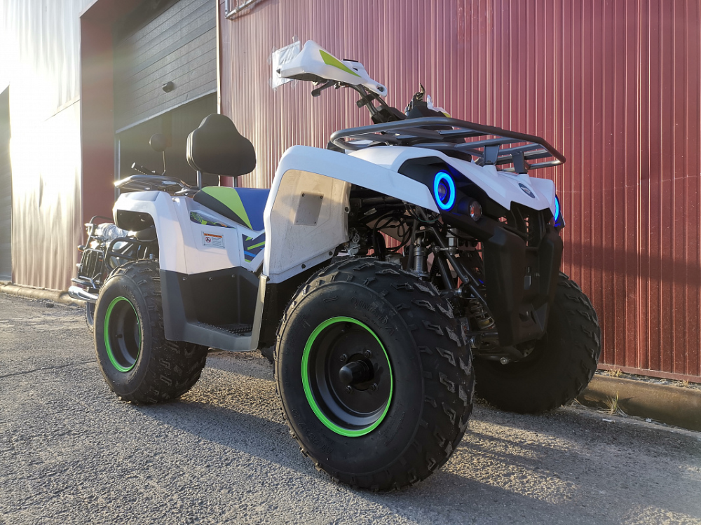 Квадроцикл PROMAX RENEGADE 280 LUX (2025) в Курске