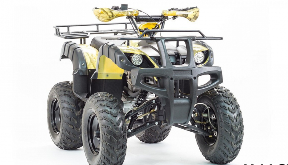 Квадроцикл MOTOLAND (МОТОЛЕНД) 250 ADVENTURE в Курске