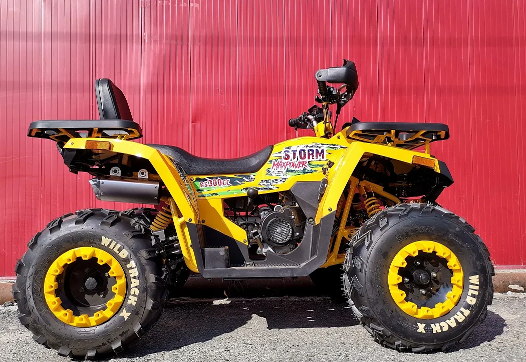 Квадроцикл PROMAX STORM 280 LUX в Курске