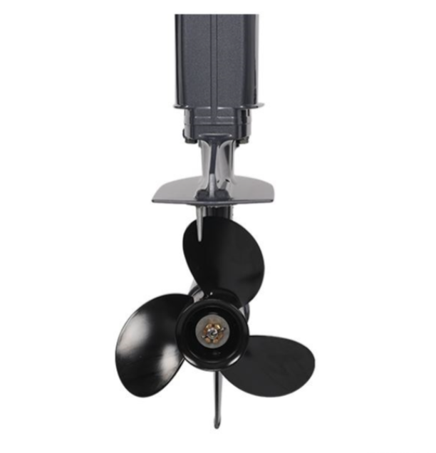 Лодочный мотор ALLFA CG Т40FW S в Курске