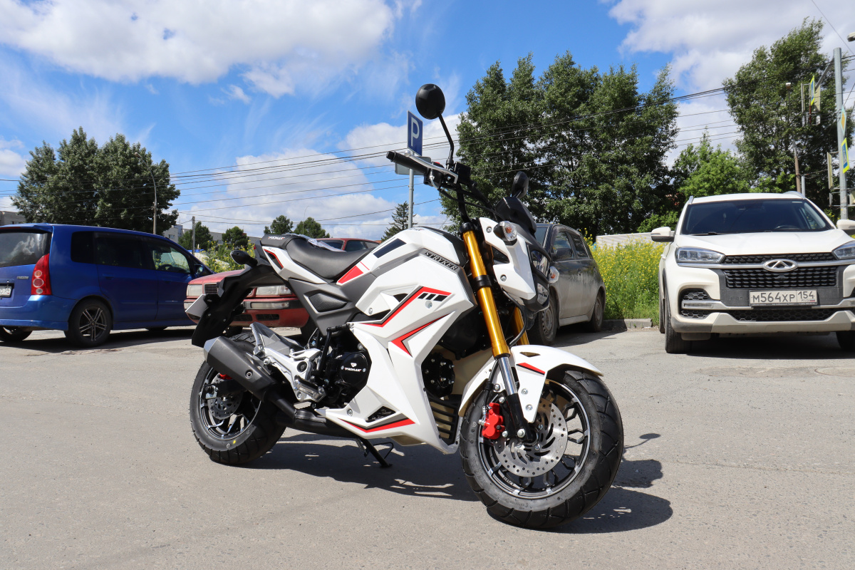 Мотоцикл PROMAX STRYKER 200(49) 2.0 в Курске