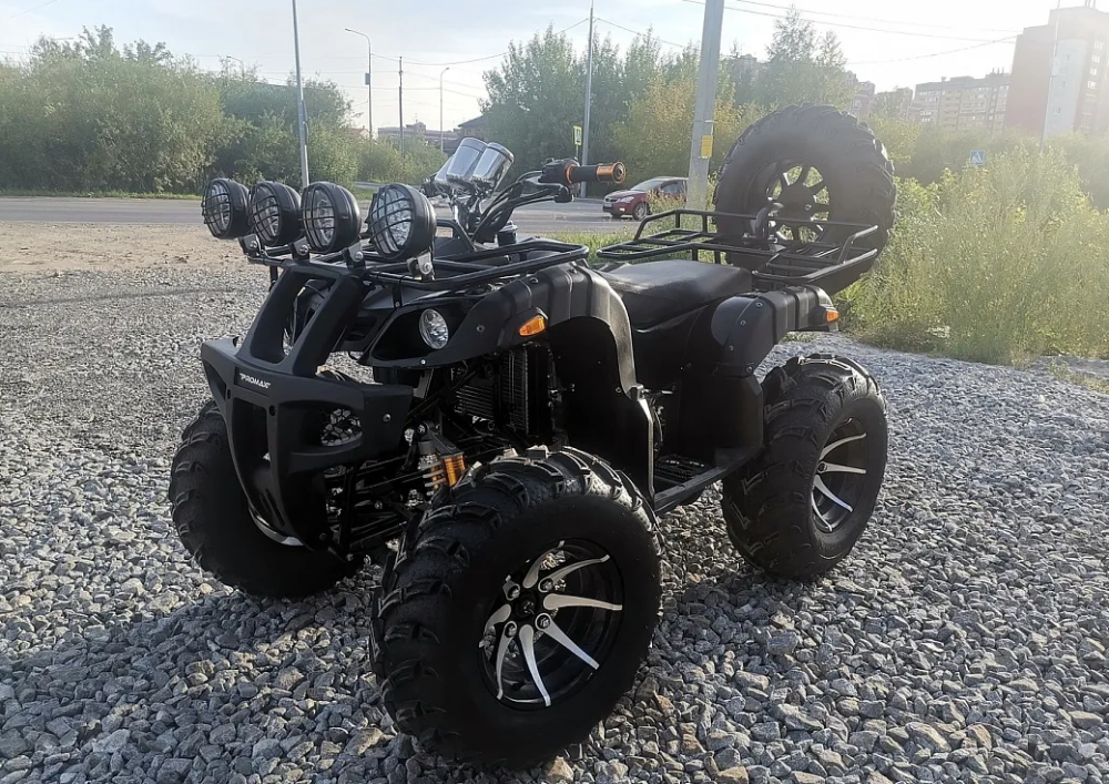 Квадроцикл PROMAX LEO 300 Max (кардан) в Курске