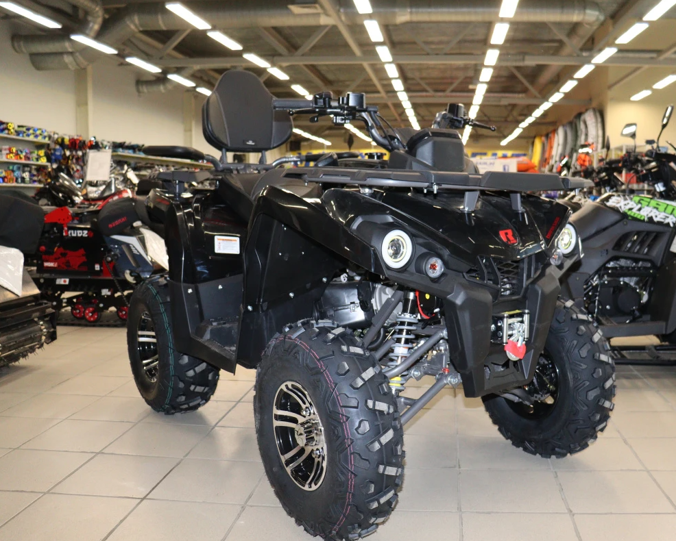 Квадроцикл PROMAX RENEGADE 300 LONG WINCH PRO (2025) в Курске
