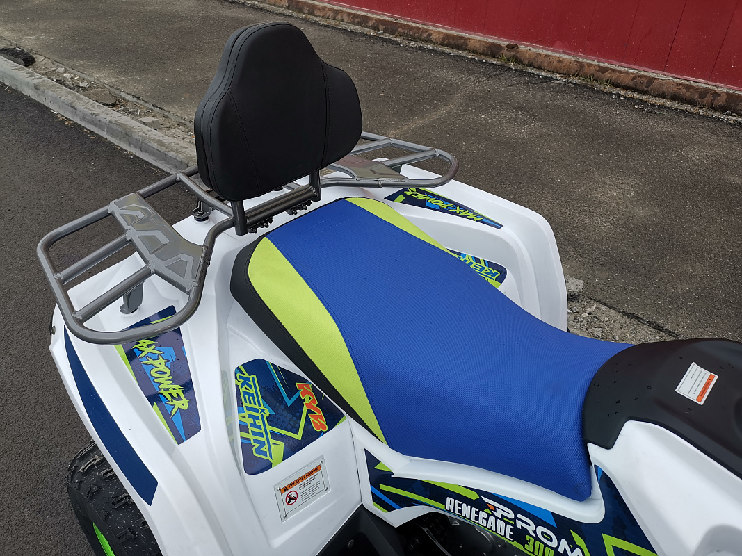 Квадроцикл PROMAX RENEGADE 280 LUX (2025) в Курске