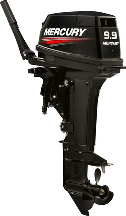 ЛОДОЧНЫЙ МОТОР MERCURY 9.9 MH TMC 247 CC в Курске