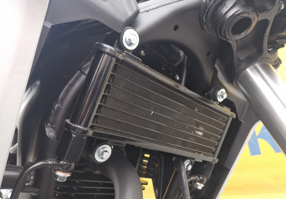 Мотоцикл MOTOLAND (МОТОЛЕНД) 250 CB250 (172FMM-5/PR250) (2022 г.) в Курске