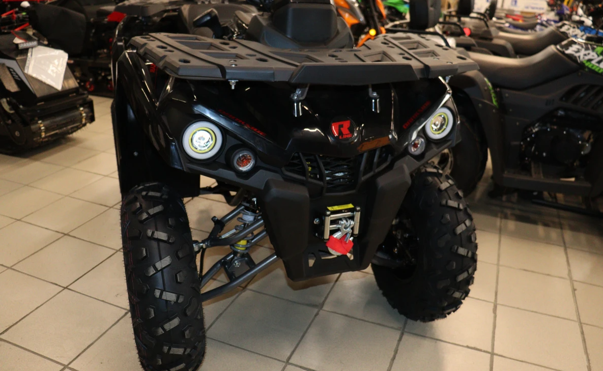 Квадроцикл PROMAX RENEGADE 300 LONG WINCH PRO (2025) в Курске