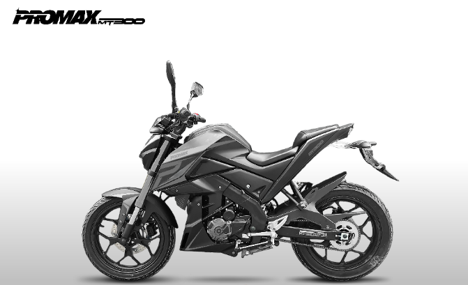 Мотоцикл PROMAX MT300 в Курске