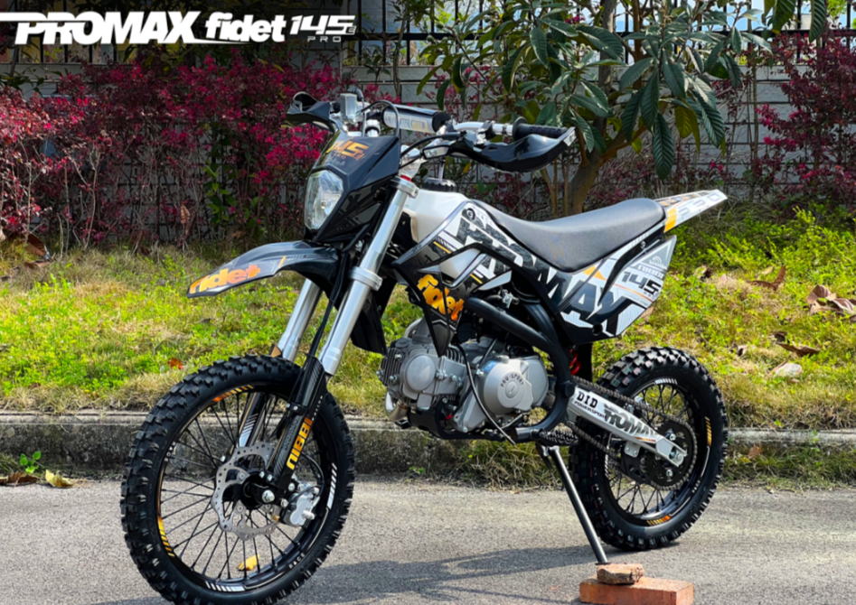 Мотоцикл (питбайк) PROMAX FIDET (ФАЙДЕТ) 145E PRO 17/14 в Курске