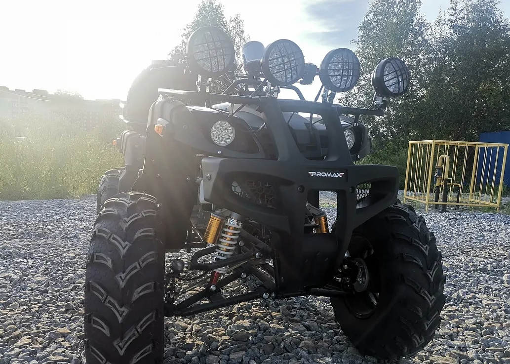 Квадроцикл PROMAX LEO 300 Max (кардан) в Курске