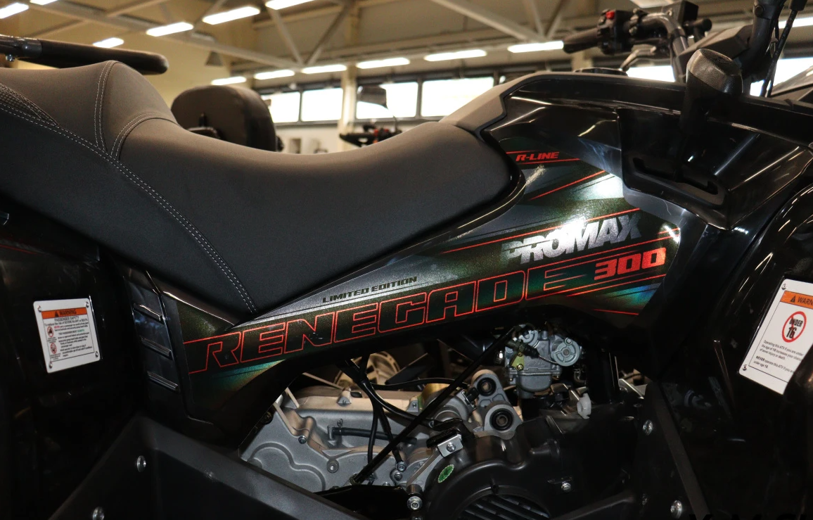 Квадроцикл PROMAX RENEGADE 300 LONG WINCH PRO (2025) в Курске