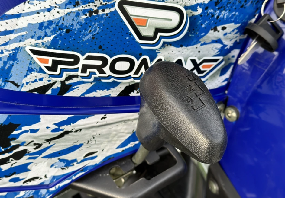  Квадроцикл PROMAX ATV 250 MAX (2025) в Курске