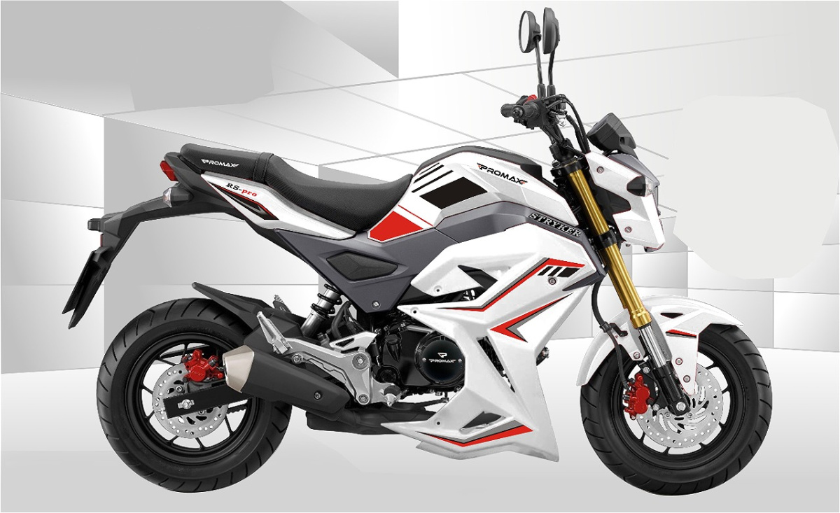 Мотоцикл PROMAX STRYKER 200(49) 2.0 в Курске