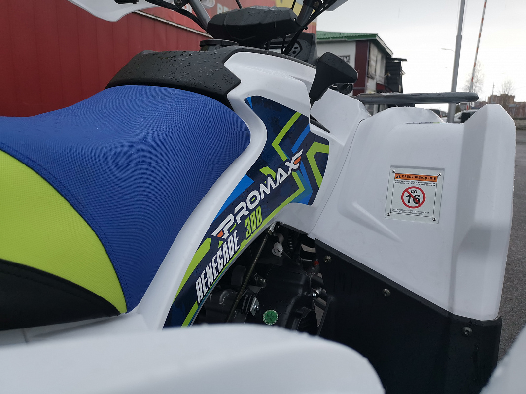 Квадроцикл PROMAX RENEGADE 280 LUX (2025) в Курске