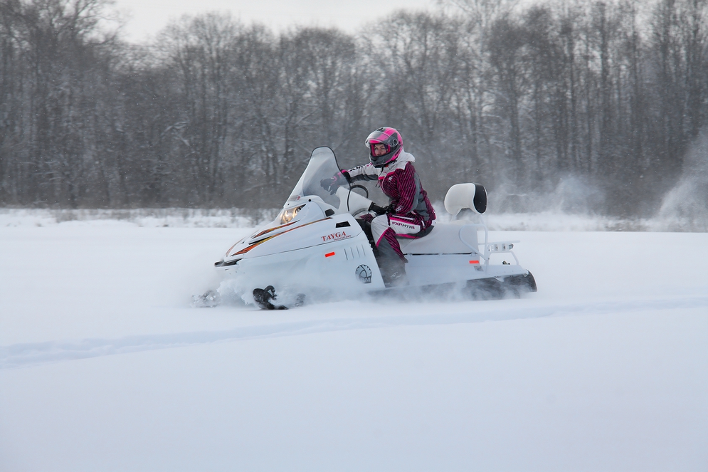 СНЕГОХОД РМ ТАЙГА ПАТРУЛЬ 551 SWT в Курске