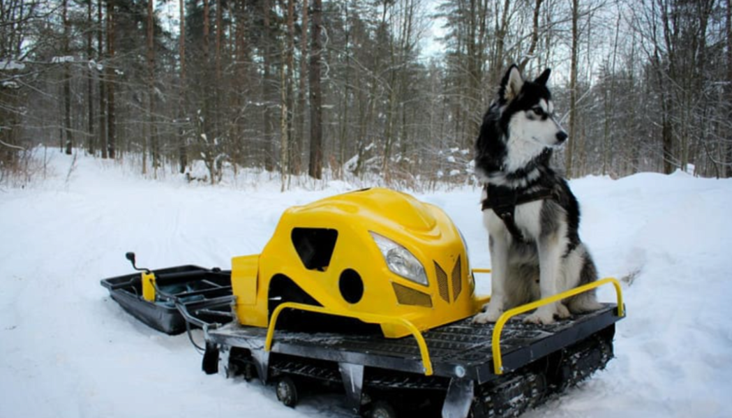 Мотобуксировщик LEBEDEV MOTORS ВОЛКОДАВ POWER V13 в Курске