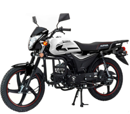 Мопед MOTOLAND (МОТОЛЕНД) Альфа RS 11 (LM48-B) в Курске