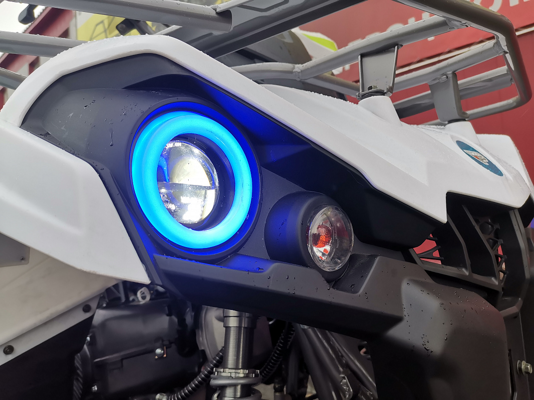 Квадроцикл PROMAX RENEGADE 280 LUX (2025) в Курске