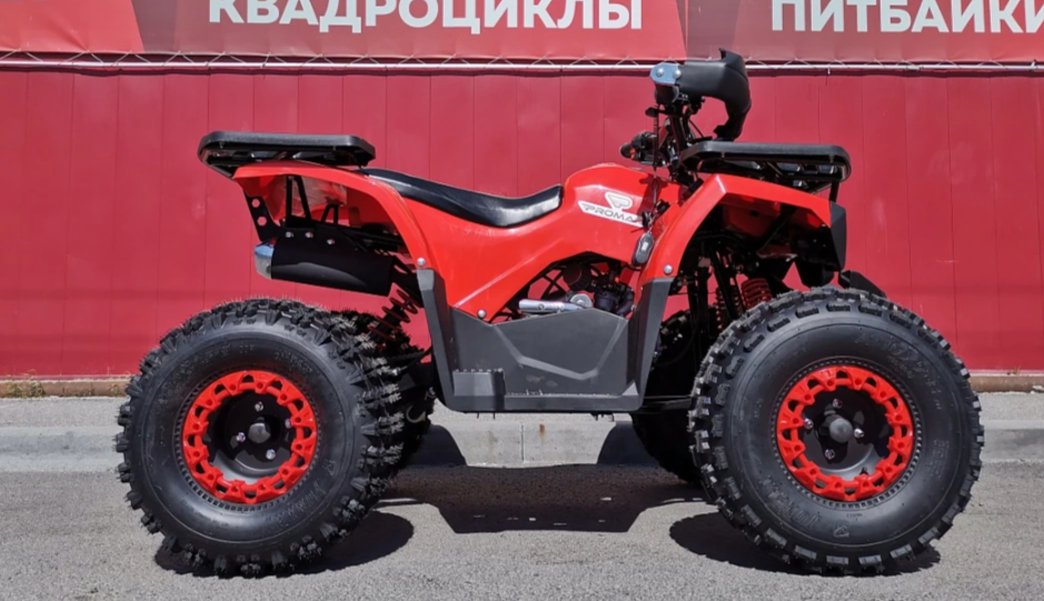 Квадроцикл PROMAX WILD 175 BASIC в Курске