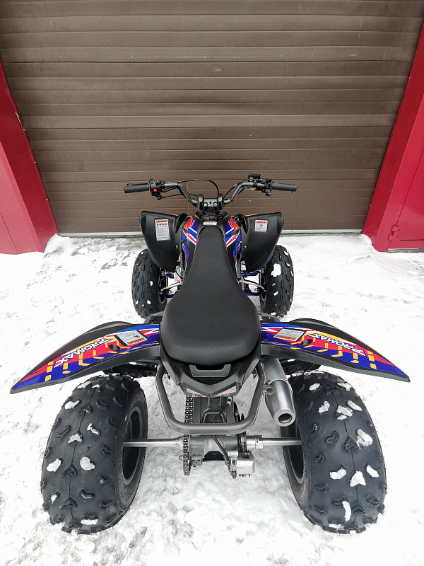 Квадроцикл PROMAX RAPTOR 300 NEW RedBull в Курске