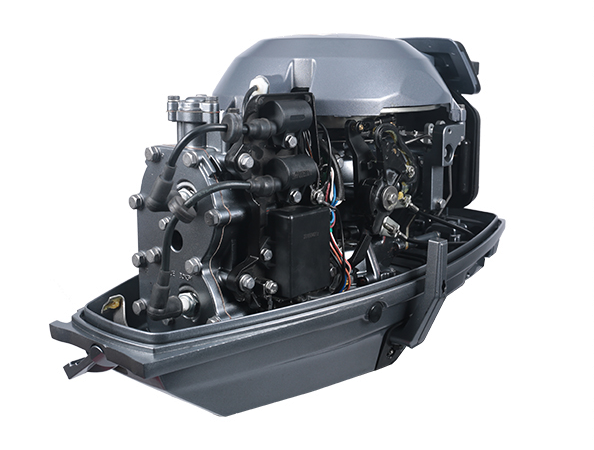 ЛОДОЧНЫЙ МОТОР ALLFA CG T30 FW S в Курске