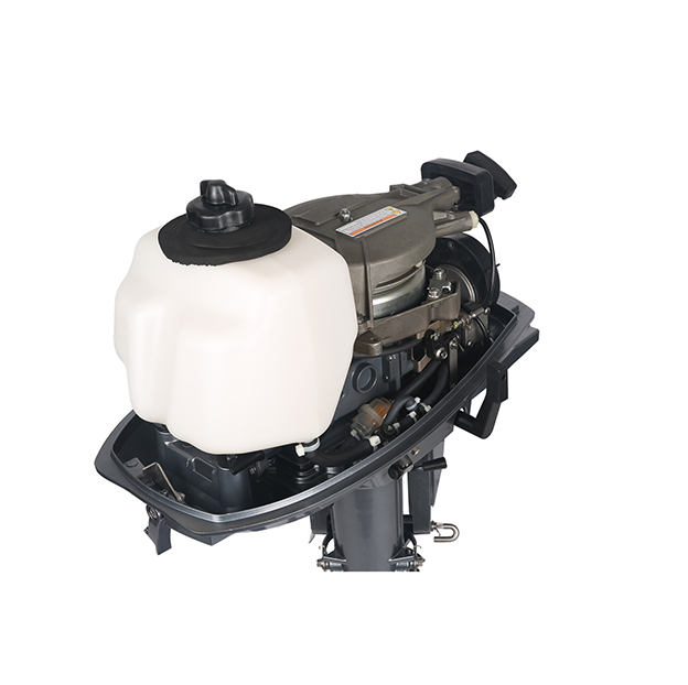 ЛОДОЧНЫЙ МОТОР ALLFA CG T5 в Курске