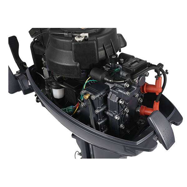 ЛОДОЧНЫЙ МОТОР ALLFA CG Т9,9 в Курске