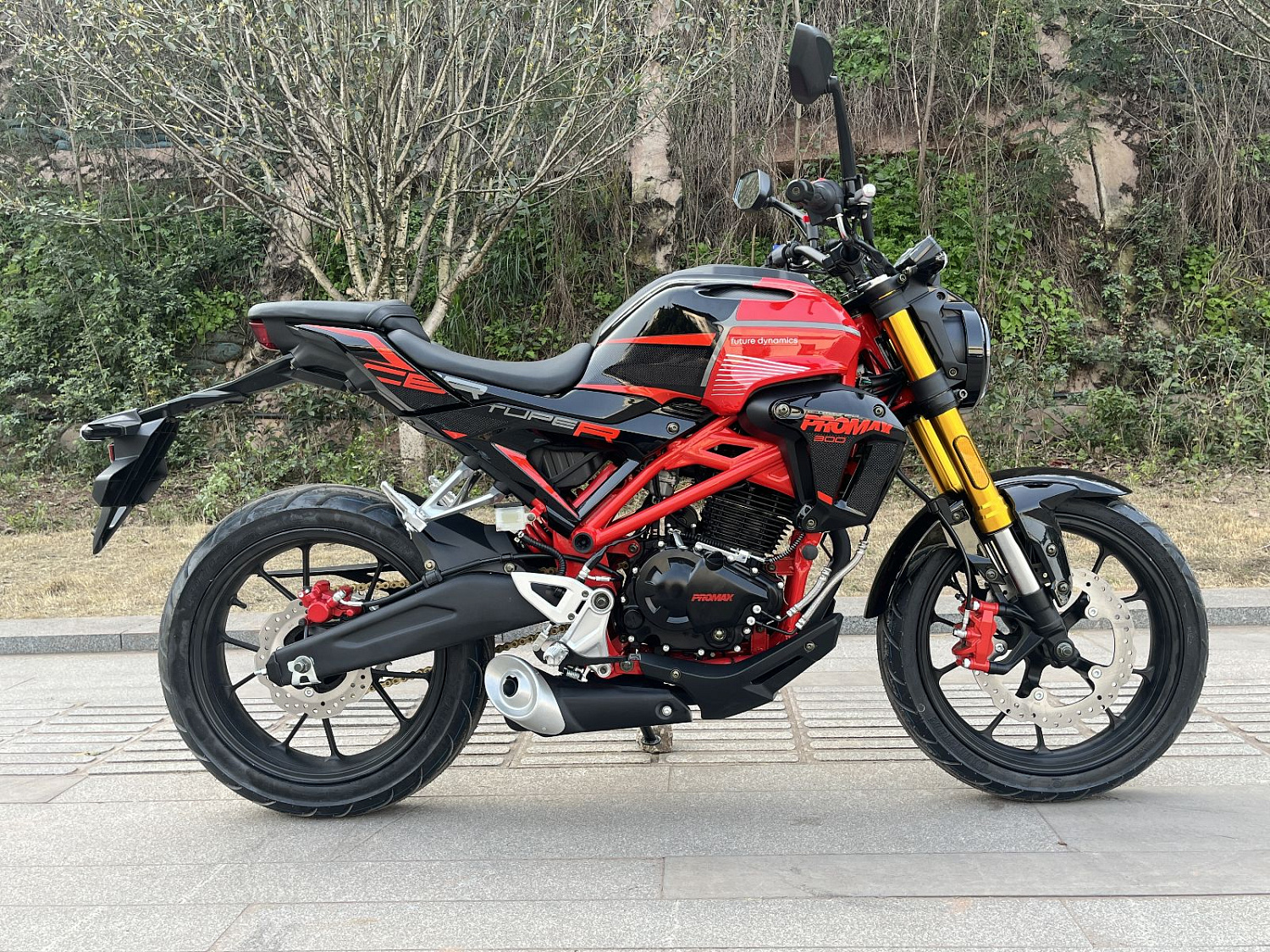 Мотоцикл PROMAX CB300 в Курске