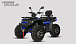 Квадроцикл PROMAX TAURUS 300 MAX-PRO LONG в Курске
