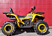 Квадроцикл PROMAX STORM 280 LUX в Курске