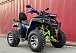  Квадроцикл PROMAX ATV 250 MAX (2025) в Курске