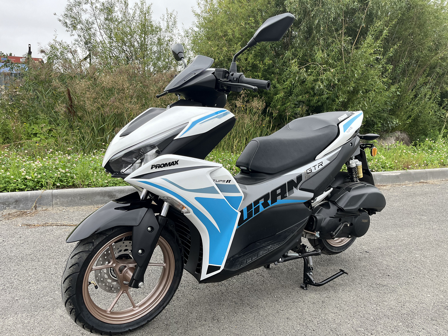 Скутер PROMAX TURAN 250 (49) в Курске