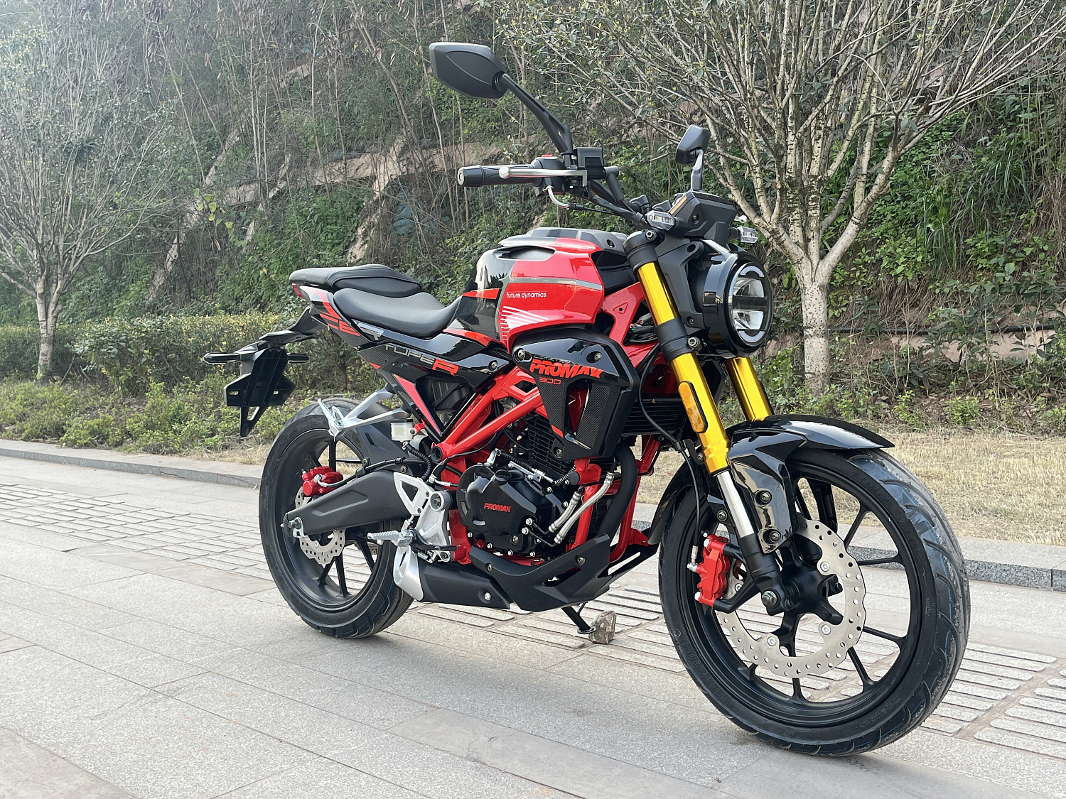 Мотоцикл PROMAX CB300 в Курске