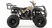 Квадроцикл MOTOLAND (МОТОЛЕНД) 200 ALL ROAD в Курске