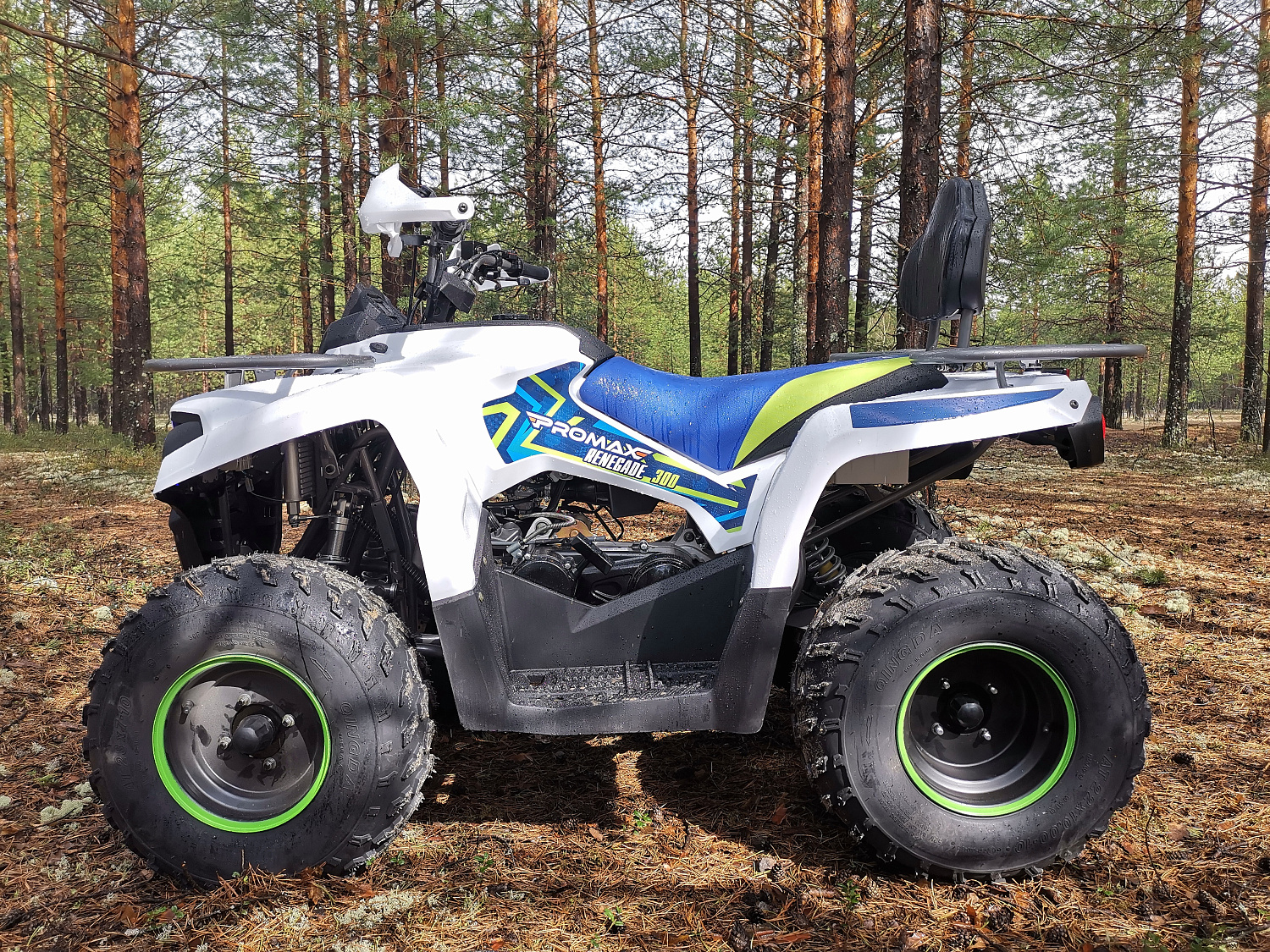 Квадроцикл PROMAX RENEGADE 280 (2025) в Курске