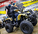 Квадроцикл PROMAX ATV 250 (2025) в Курске