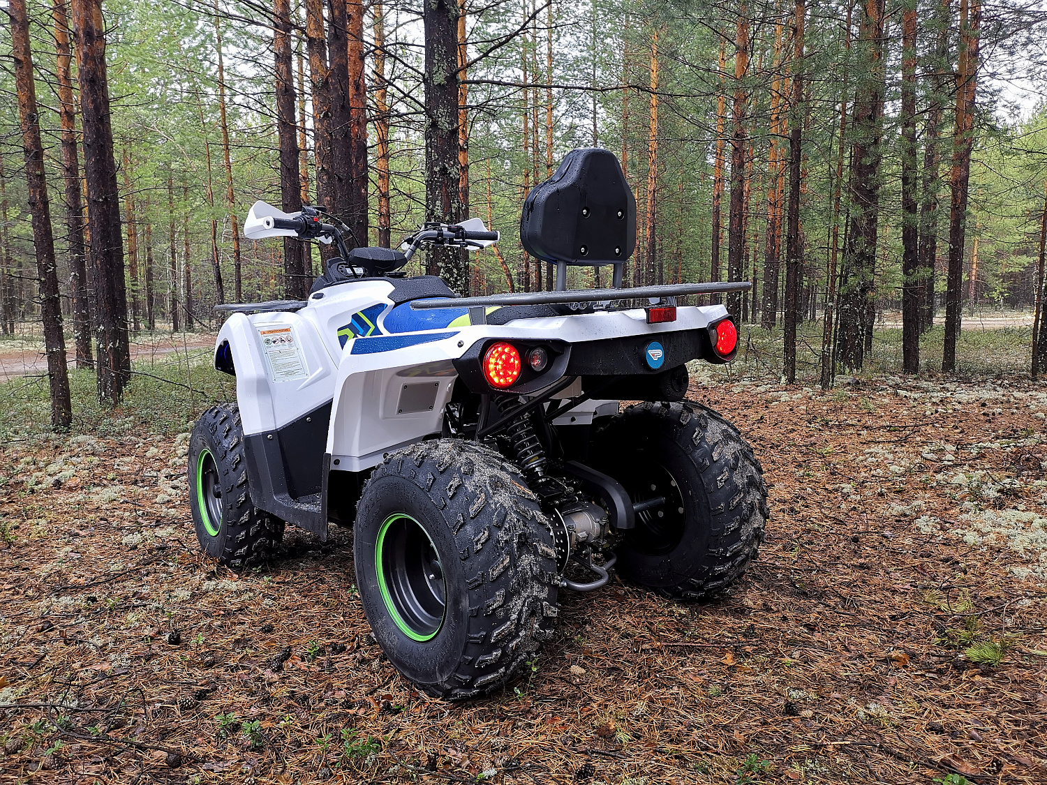Квадроцикл PROMAX RENEGADE 280 (2025) в Курске