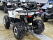 Квадроцикл PROMAX WILD 2.0 190 LUX в Курске