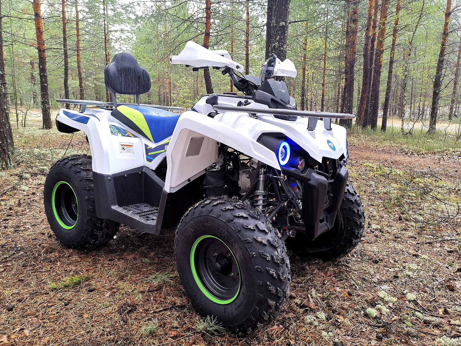 Квадроцикл PROMAX RENEGADE 280 (2025) в Курске