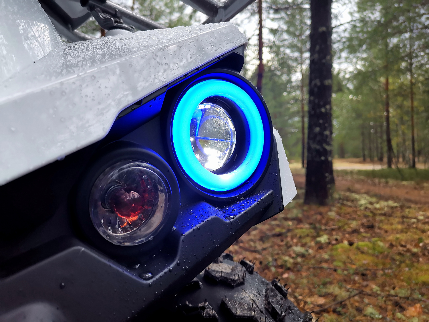 Квадроцикл PROMAX RENEGADE 280 (2025) в Курске